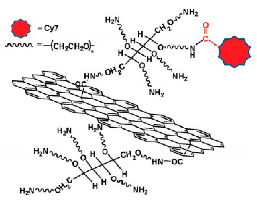 Schematic-illustration-of-graphene-oxide-modified-with-multiple-arm-PEG-chains-for-fluorescence-imaging