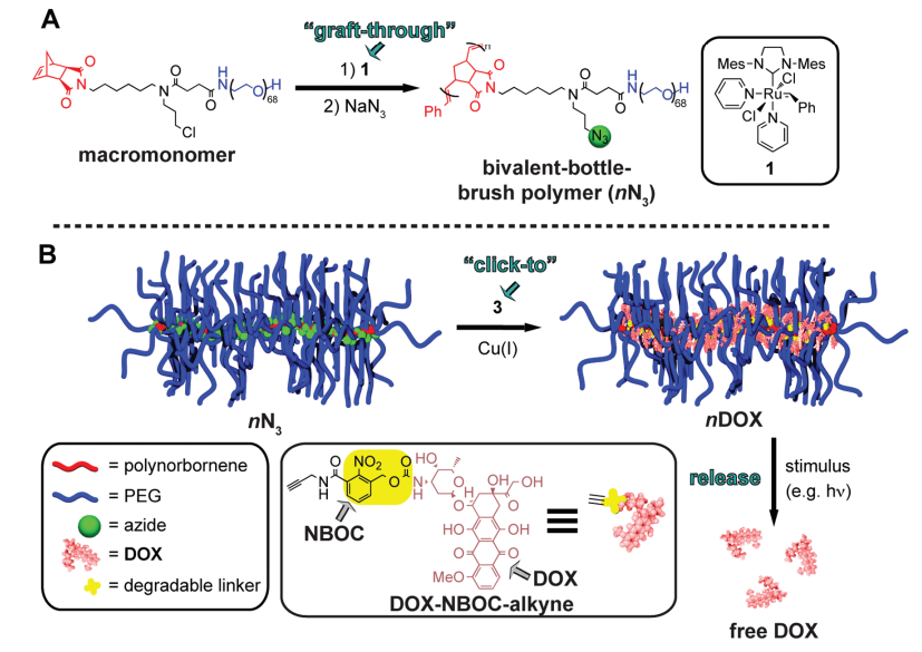 Synthesis of polyethylene glycol (PEG)-branch-azide bivalent-brush polymers