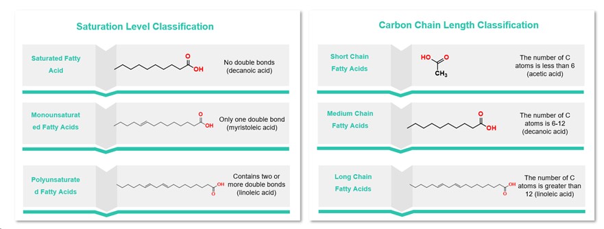 Classification of fatty acids.