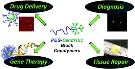 PEG-dendritic block copolymers for biomedical applications