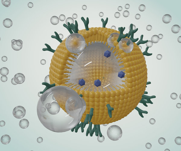 PEG in Nucleic Acid Drug Delivery: Oligonucleotide, DNA, RNA, and siRNA