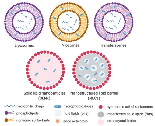 Schematic representation of the five categories of lipid-based nanoparticles