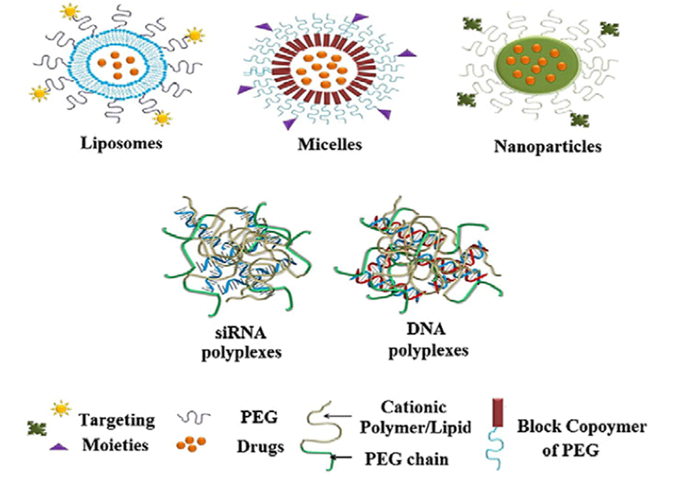 Fig. 1 Schematic representation of different nanocarriers with the PEG-exposed surface. (<em>Journal of controlled release </em><strong>2014</strong>, 192, 67-81)