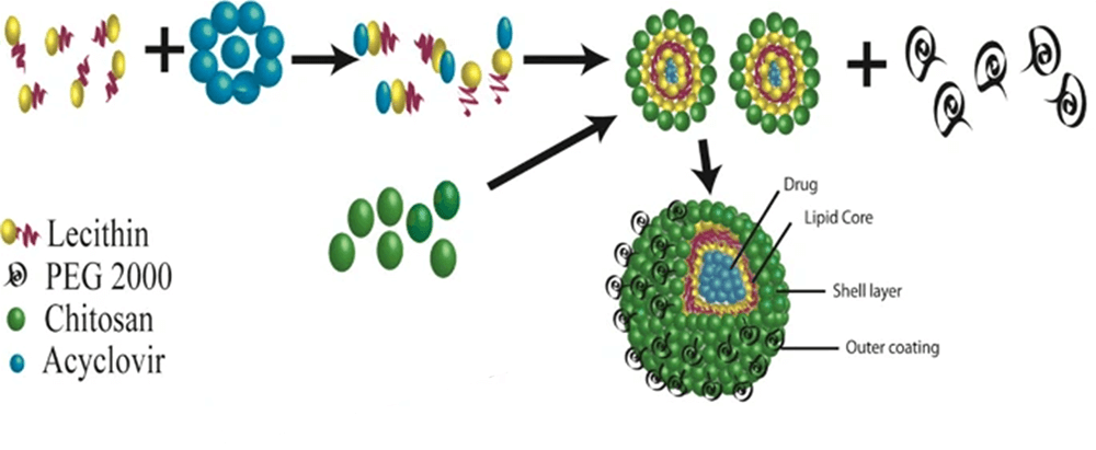 Fig.2 Schematic diagram of formation of PEGylated lecithin-chitosan nanoparticle. (<em>AAPS PharmSciTech </em><strong>2020,</strong> <em>21</em> (7), 285)