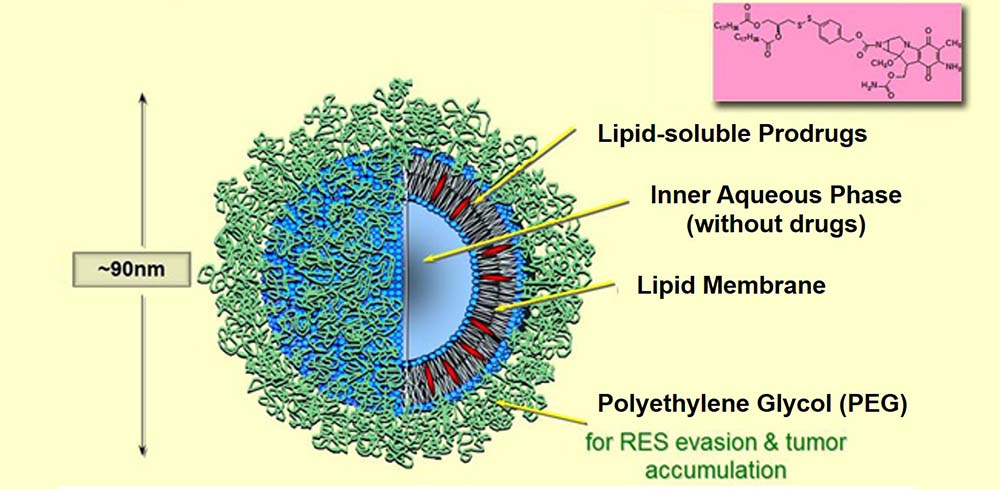 Fig.4 Schematic diagram of PEGylated liposome.