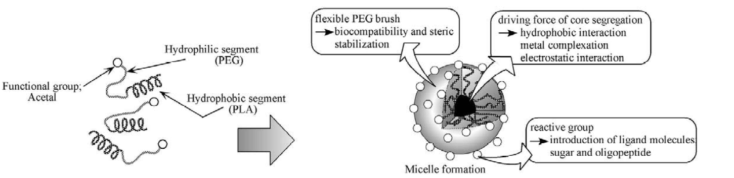 Fig.5 Schematic representation of the micelle formation using heterobifunctional PEG and PEG derivatives. (<em>Advanced drug delivery reviews </em><strong>2003,</strong> <em>55</em> (3), 403-419)