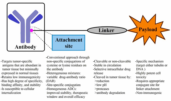 The general components of ADC